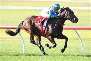 DISTANCE TEST FOR REGALLY-BRED FILLY